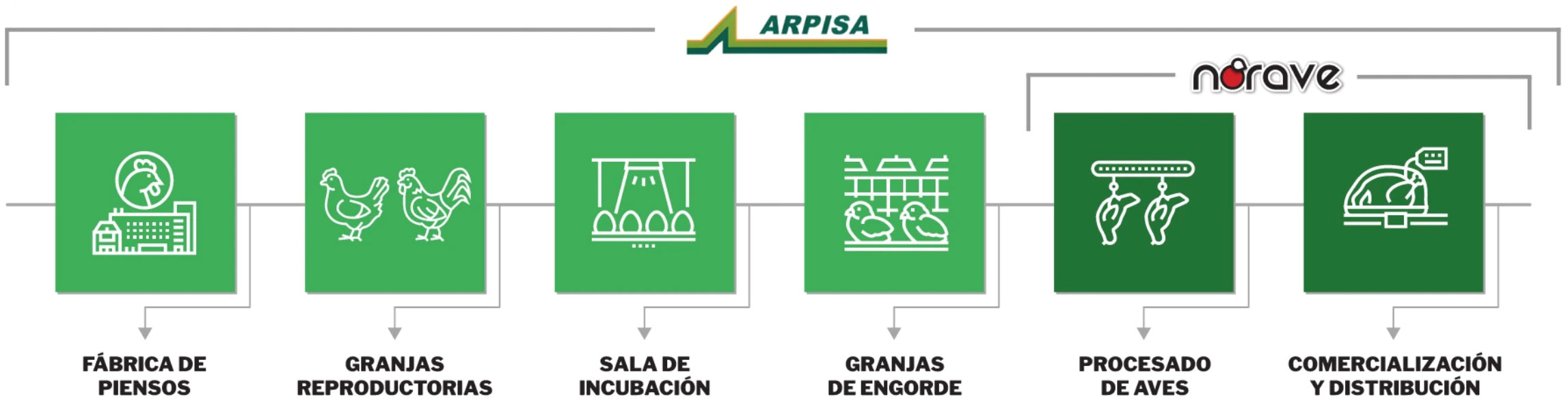 Esquema de integración avícola de ARPISA - Norave