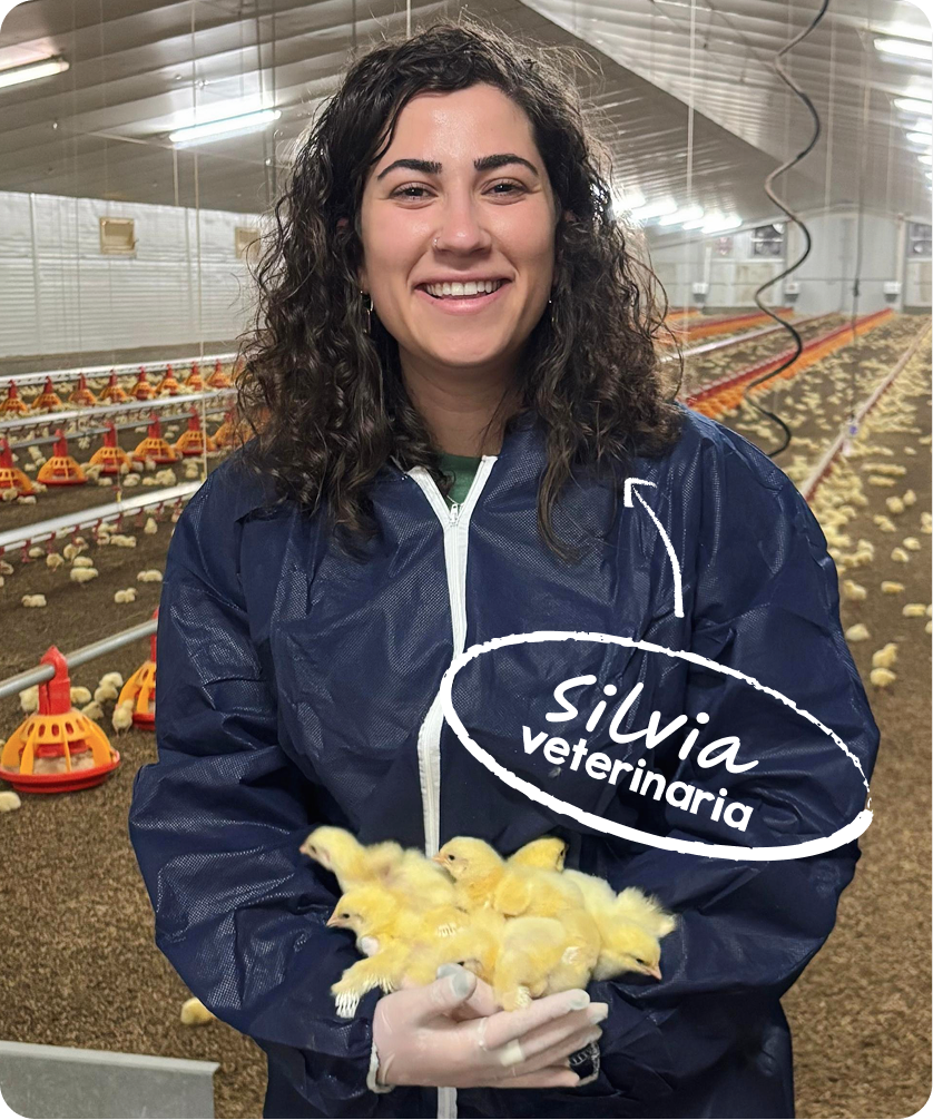 granja-a-tu-mesa-carrusel_1